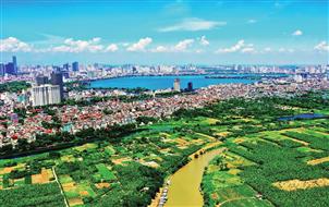 Bán biệt thự view vườn hoa và bể bơi Ecopark