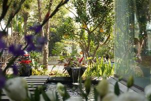 Độc bản, bán biệt thự hợp thửa, đơn lập góc gần hồ tại Ecopark