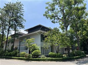 Bán biệt thự đơn lập góc Vườn Mai Ecopark, đã hoàn thiện, giá 165 triệu/m²