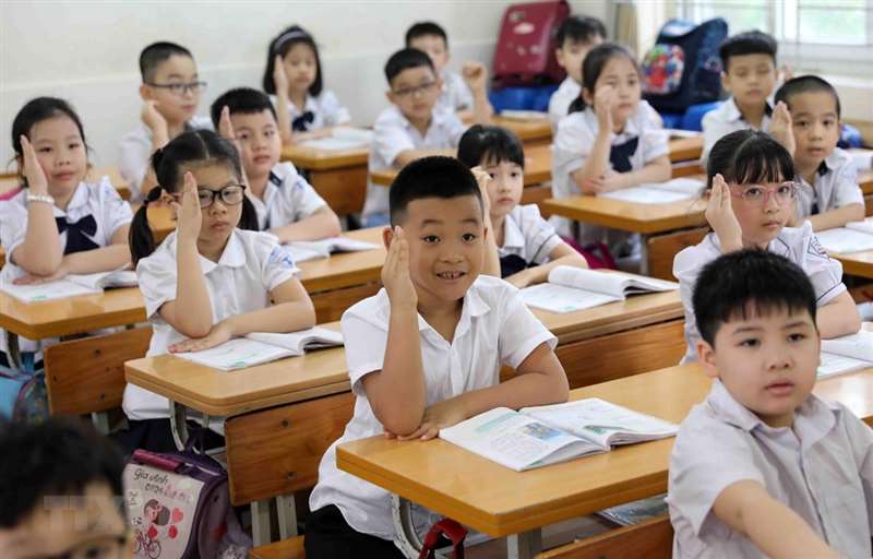 diện tích tam giác vuông